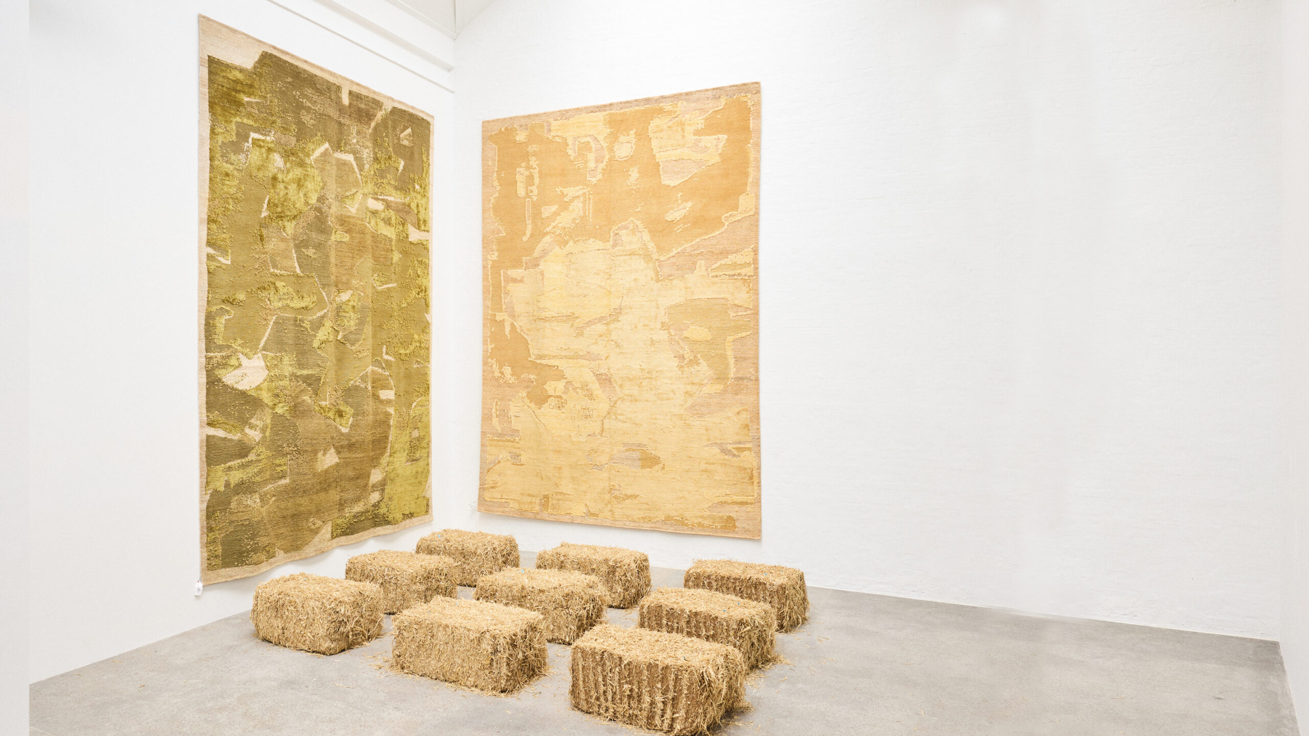 FIELD STUDIES Marc Phillips Rugs Jamie Bush 